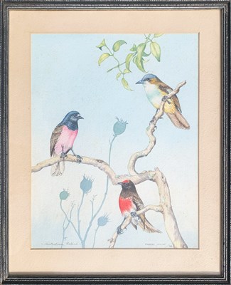 Lot 38 - Phoebe Milne Working 1970s.