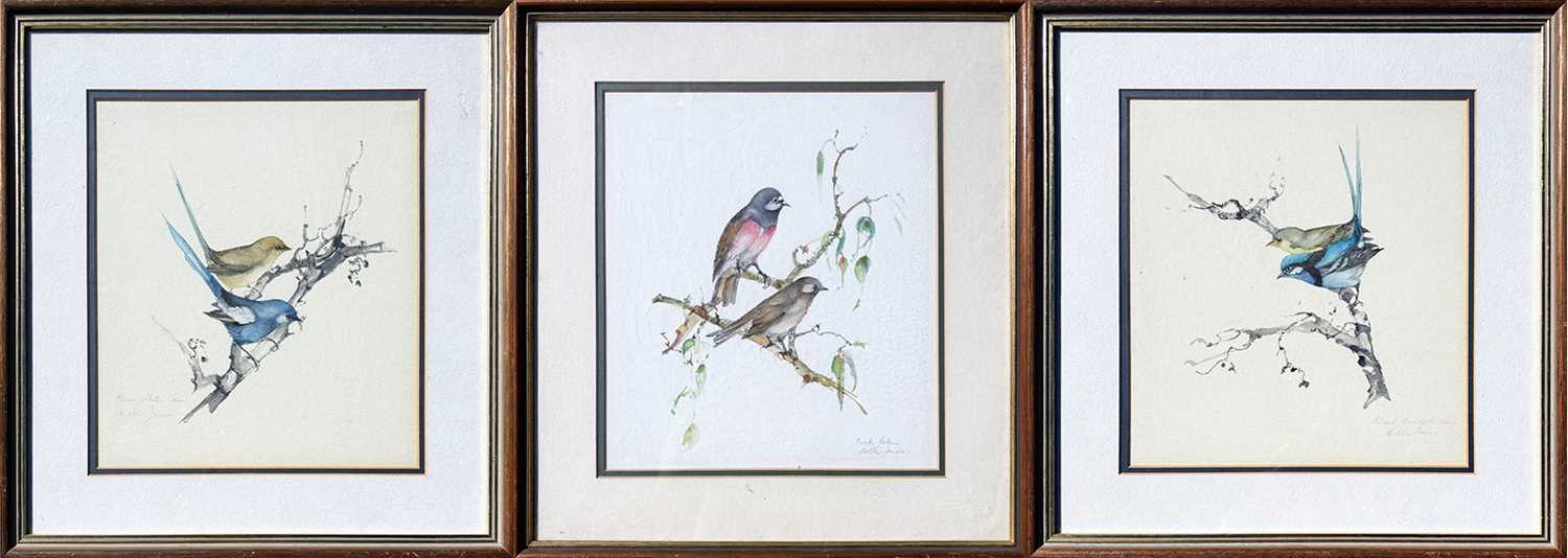 Lot 21 - 3x Bettie Jones Bird Illustrations.
