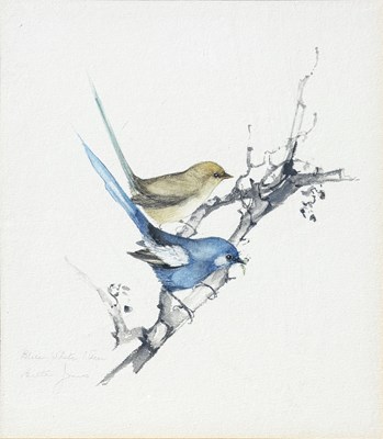 Lot 21 - 3x Bettie Jones Bird Illustrations.
