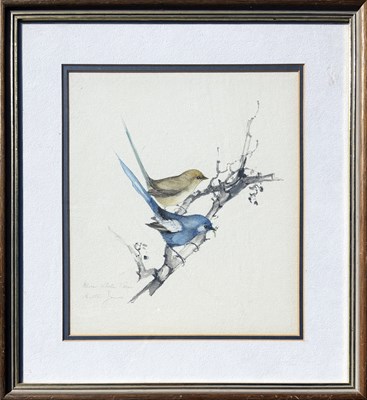 Lot 21 - 3x Bettie Jones Bird Illustrations.
