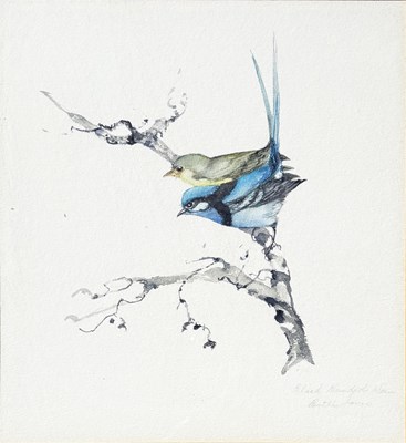 Lot 21 - 3x Bettie Jones Bird Illustrations.