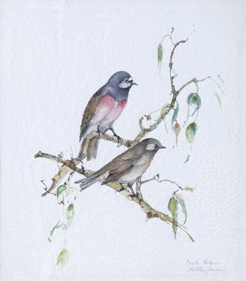 Lot 21 - 3x Bettie Jones Bird Illustrations.