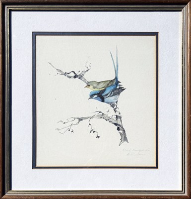 Lot 21 - 3x Bettie Jones Bird Illustrations.