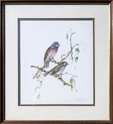 Lot 21 - 3x Bettie Jones Bird Illustrations.