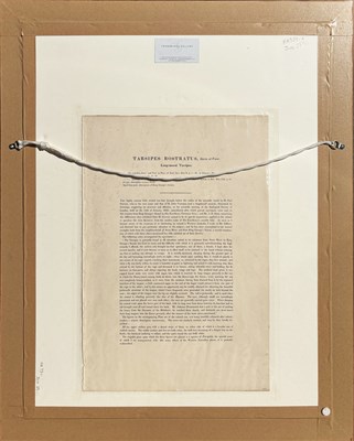 Lot 35 - John Gould 1804-1881.