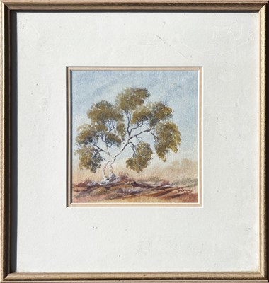 Lot 16 - Roma Winmar Yibiyung b.1944.