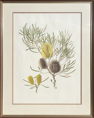 Lot 13 - Celia Rosser b.1930.