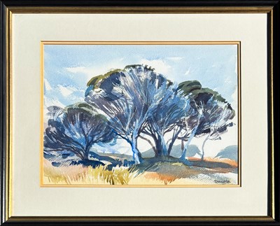 Lot 17 - Romola Clifton b.1935.