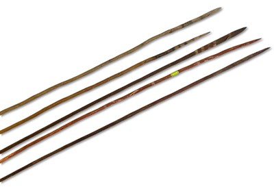 Lot 100 - 4 x Spears and 1 Spear Thrower.