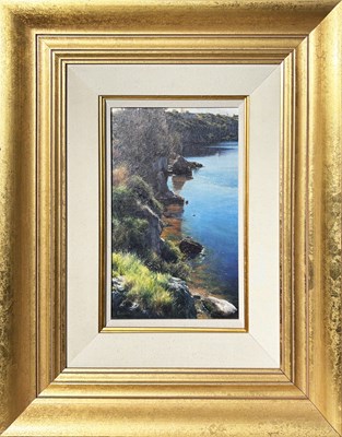 Lot 63 - Michael Challen b.1957.