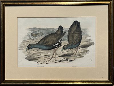 Lot 53 - Pair of John Gould.
