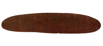 Lot 101 - One Intricately Carved Shield.
