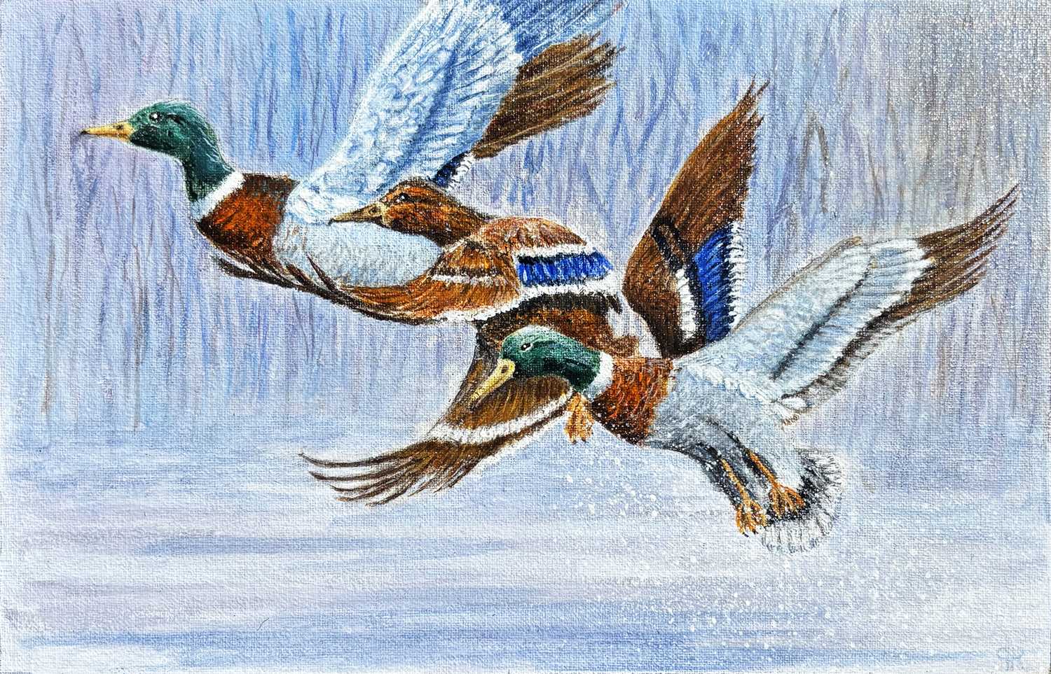 Lot 5 - R.P Rodriguez Working 2000s.