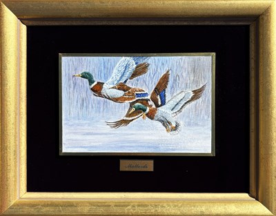 Lot 5 - R.P Rodriguez Working 2000s.