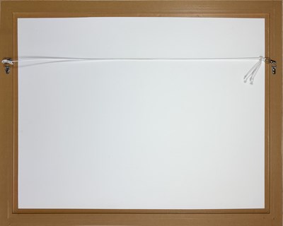 Lot 45 - Diana Johnston 1935-2015.