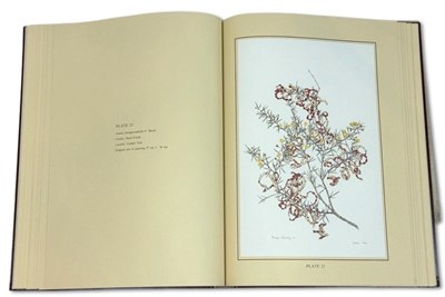 Lot 105 - Philippa Nikulinsky b. 1942.