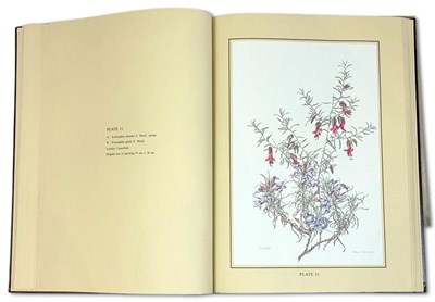 Lot 105 - Philippa Nikulinsky b. 1942.