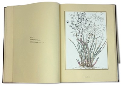 Lot 105 - Philippa Nikulinsky b. 1942.