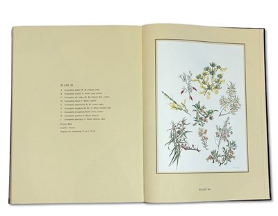 Lot 105 - Philippa Nikulinsky b. 1942.