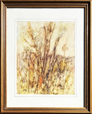 Lot 12 - Brian Simmonds b.1938