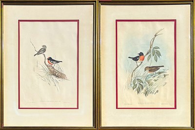 Lot 92 - Pair of John Gould Hand-Coloured Etchings.