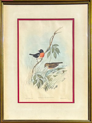 Lot 92 - Pair of John Gould Hand-Coloured Etchings.