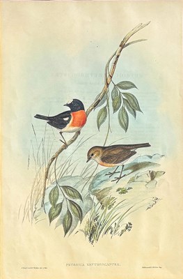 Lot 92 - Pair of John Gould Hand-Coloured Etchings.
