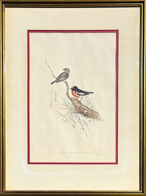 Lot 92 - Pair of John Gould Hand-Coloured Etchings.
