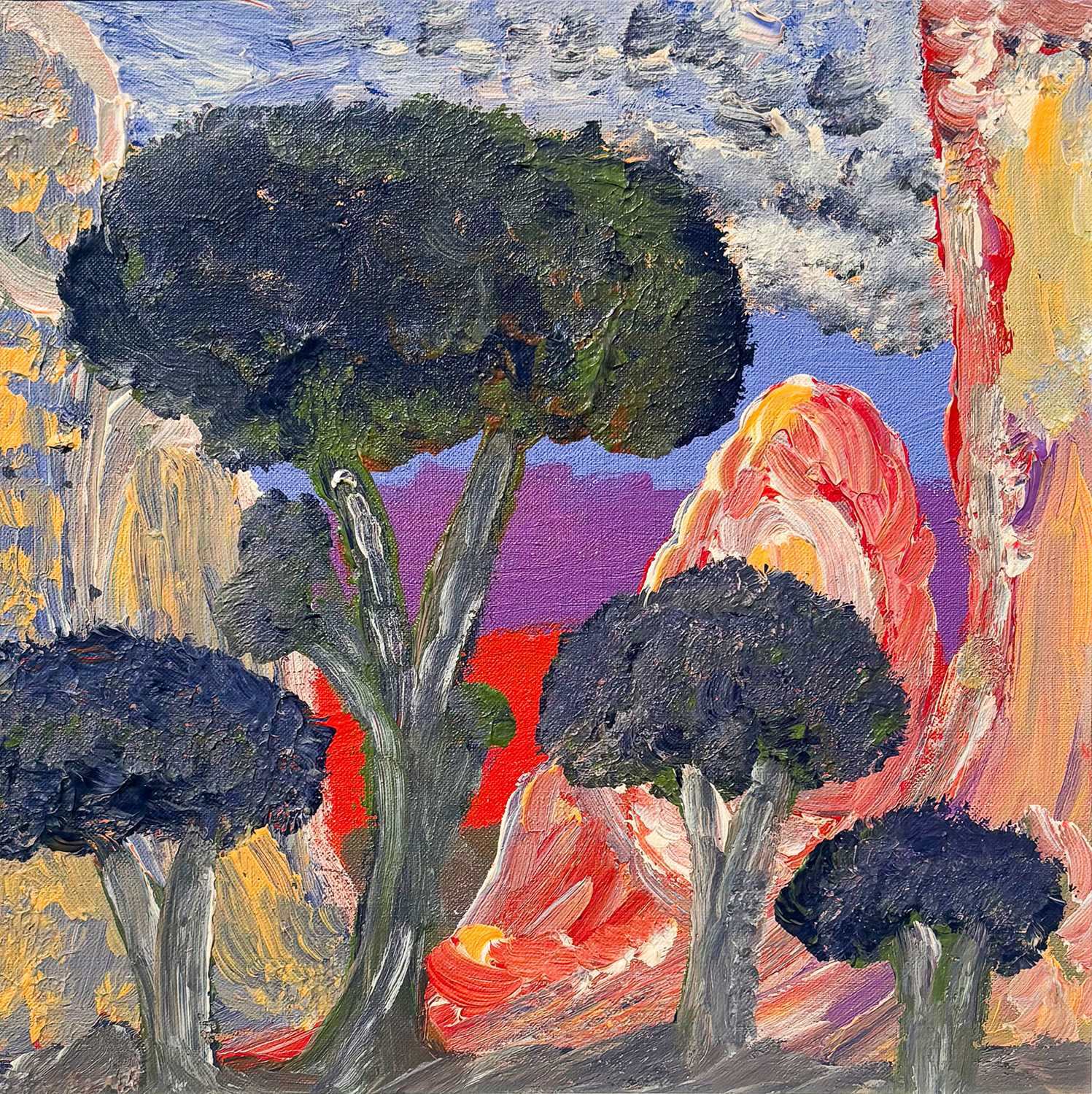 Lot 80 - Adrian Jangala Robertson b.1962.