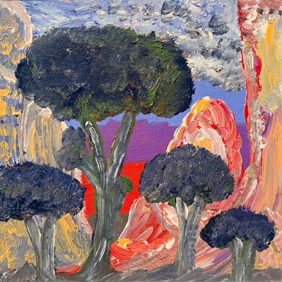 Lot 80 - Adrian Jangala Robertson b.1962.