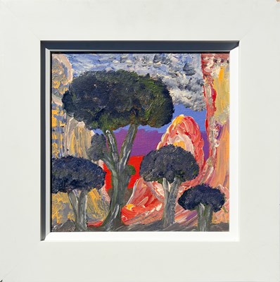 Lot 80 - Adrian Jangala Robertson b.1962.