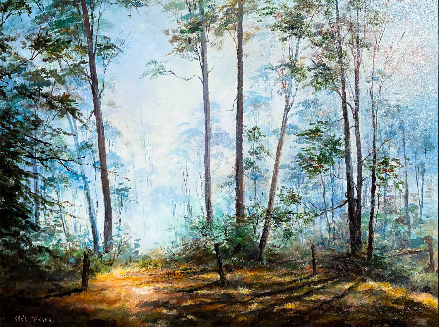 Lot 21 - Chris Meinema b.1955.