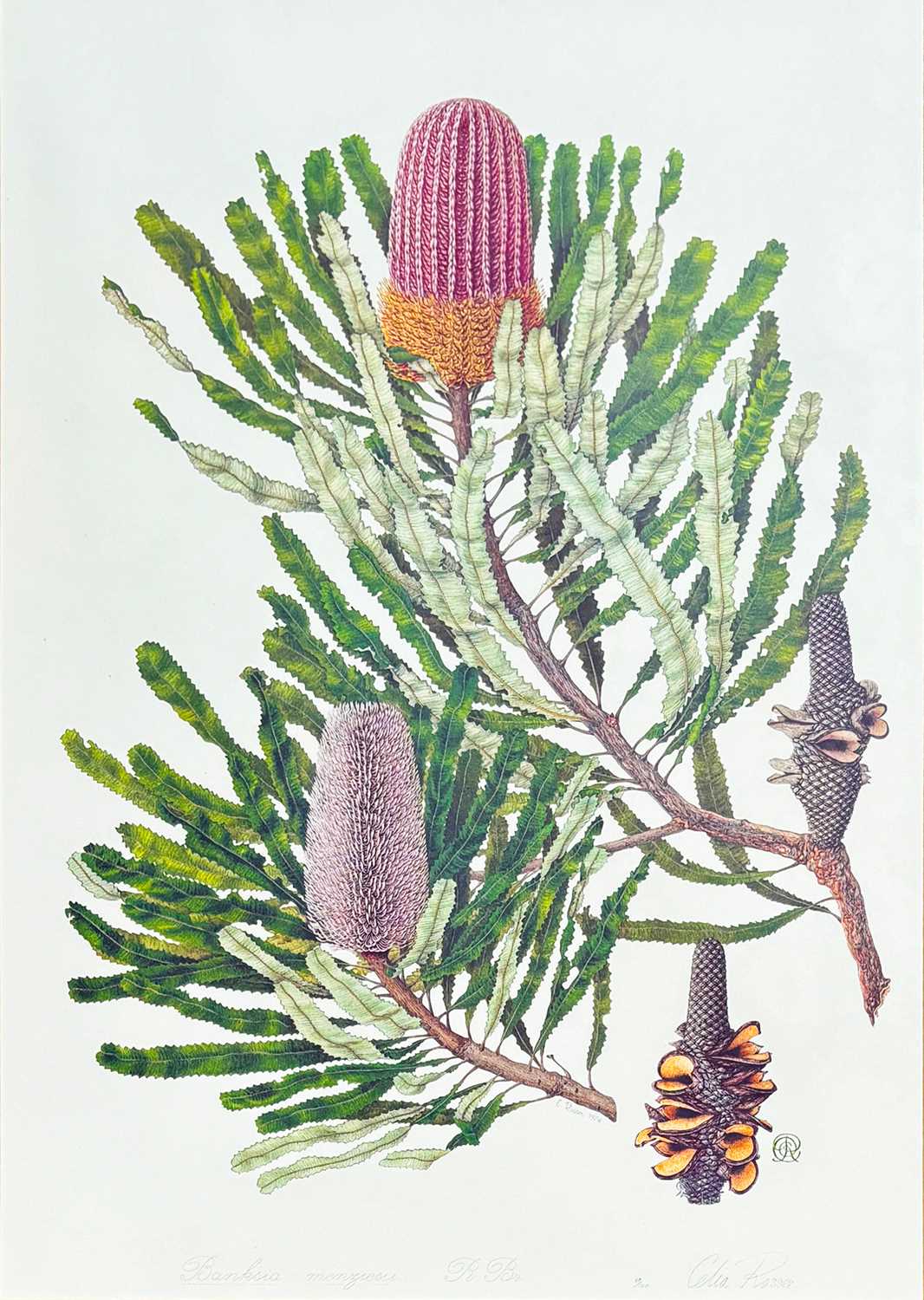 Lot 42 - Celia Rosser b.1930.