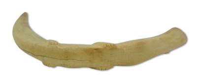 Lot 181 - Carved Boar Tusk Ivory.