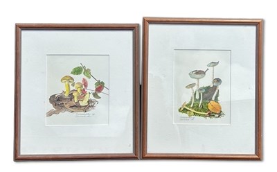 Lot 55 - Katrina Syme b.1947.