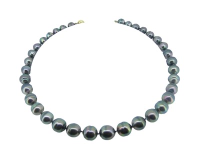 Lot 23 - Strand of Black Ringed Pearls.