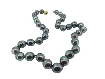 Lot 23 - Strand of Black Ringed Pearls.