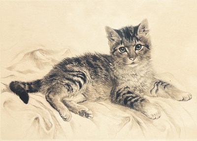 Lot 86 - Kurt Meyer-Eberhardt 1895-1977.