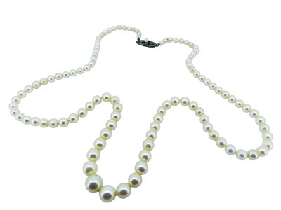 Lot 206 - A Fine Strand of Akoya Pearls.