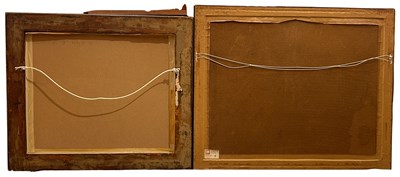 Lot 65 - 2 x John Gould Hand-Coloured Lithographs 1804-1881.