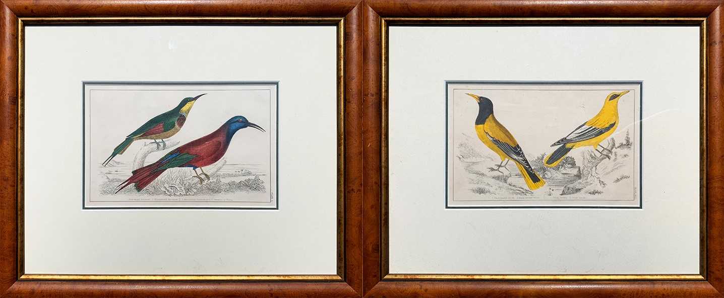 Lot 91 - Two Hand-Coloured Lithographs.