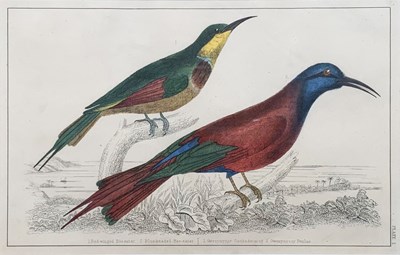 Lot 91 - Two Hand-Coloured Lithographs.