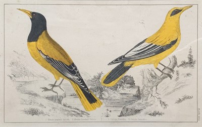 Lot 91 - Two Hand-Coloured Lithographs.