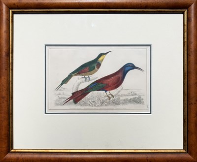 Lot 91 - Two Hand-Coloured Lithographs.