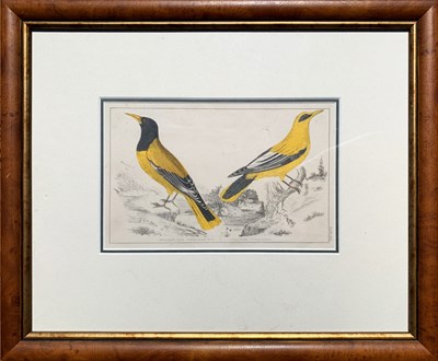 Lot 91 - Two Hand-Coloured Lithographs.