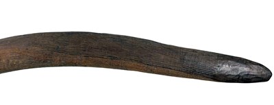 Lot 13 - Early 20th C South Australia finely Fluted Boomerang.